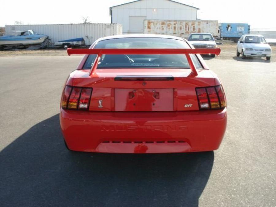  Ford Mustang Cobra R 2008 года  (фото 12 из 24)
